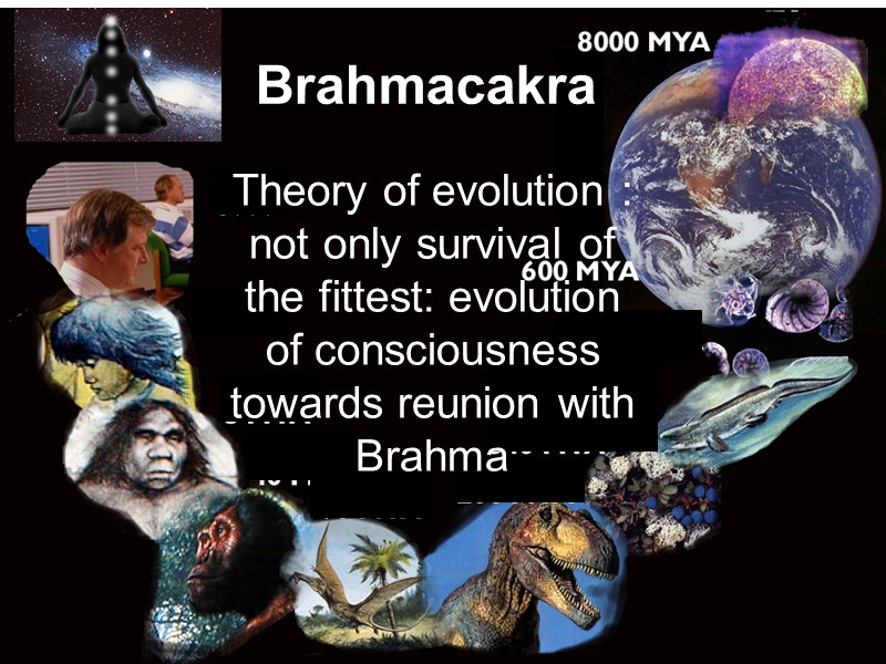 Theory of evolution : not only survival of the fittest: evolution of consciousness towards